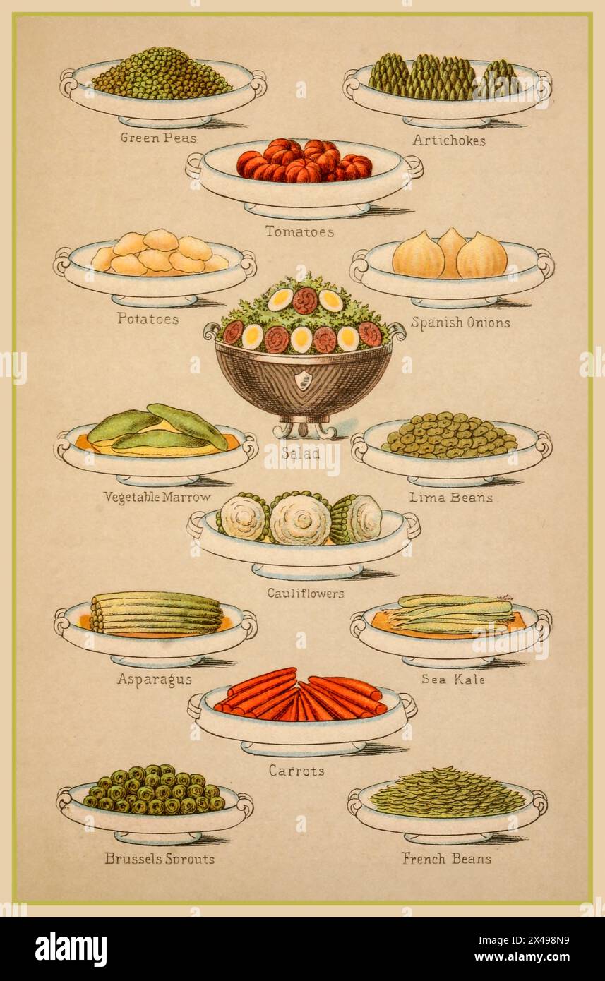 Légumes vintage illustration de la variété de légumes préparés victoriens populaires sains avec des légendes de nom appropriées. Table de divertissement de luxe des années 1890 prête en chine vaisselle sous-titrée intitulée Banque D'Images