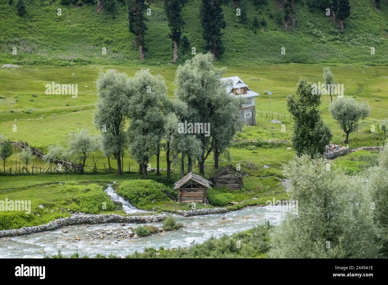 Vie de village à Sukhnai, vallée de Warwan, Cachemire, Inde Banque D'Images