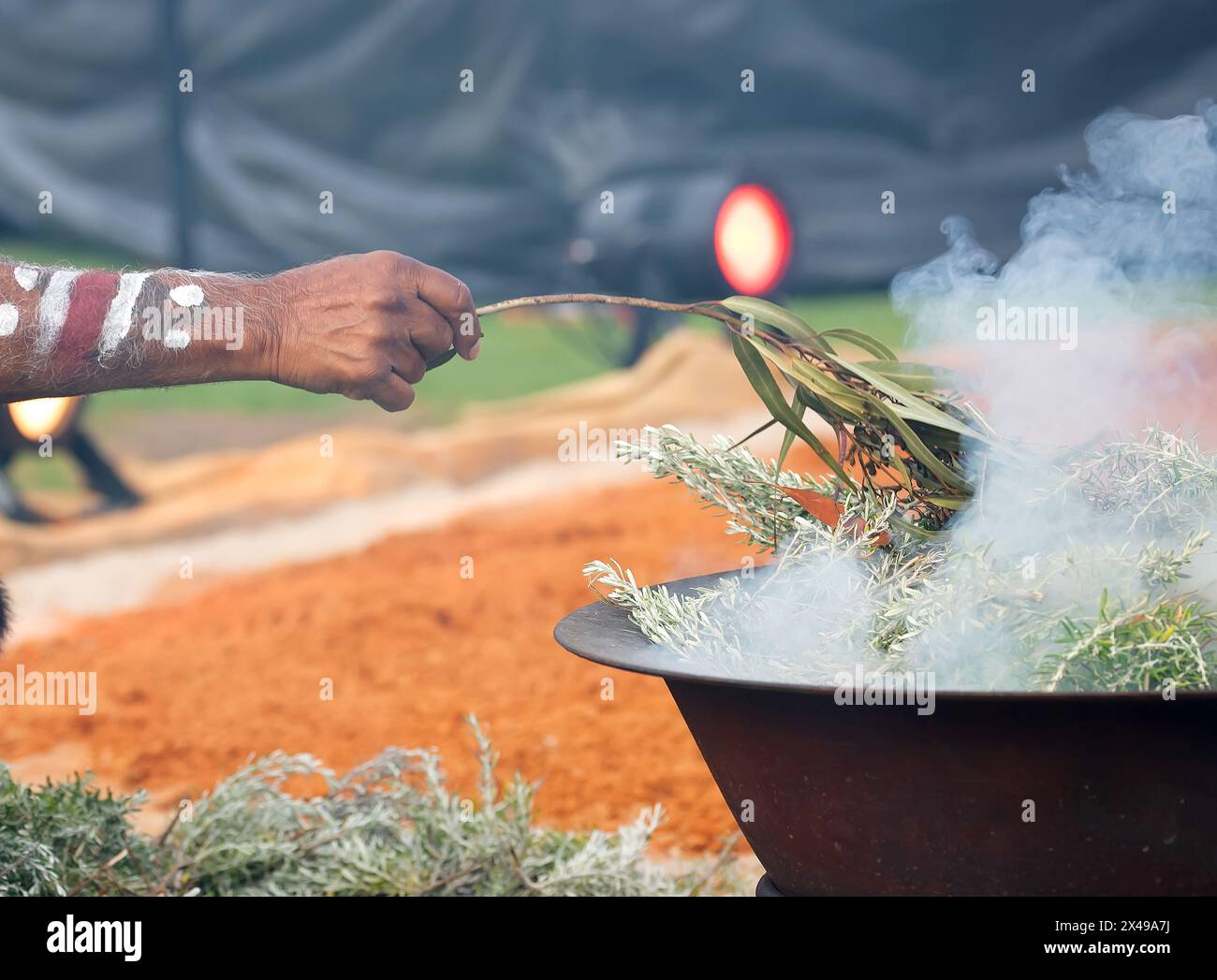 Main humaine avec branche verte d'eucalyptus pour le rite de bienvenue du rituel de fumée lors d'un événement communautaire indigène en Australie Banque D'Images