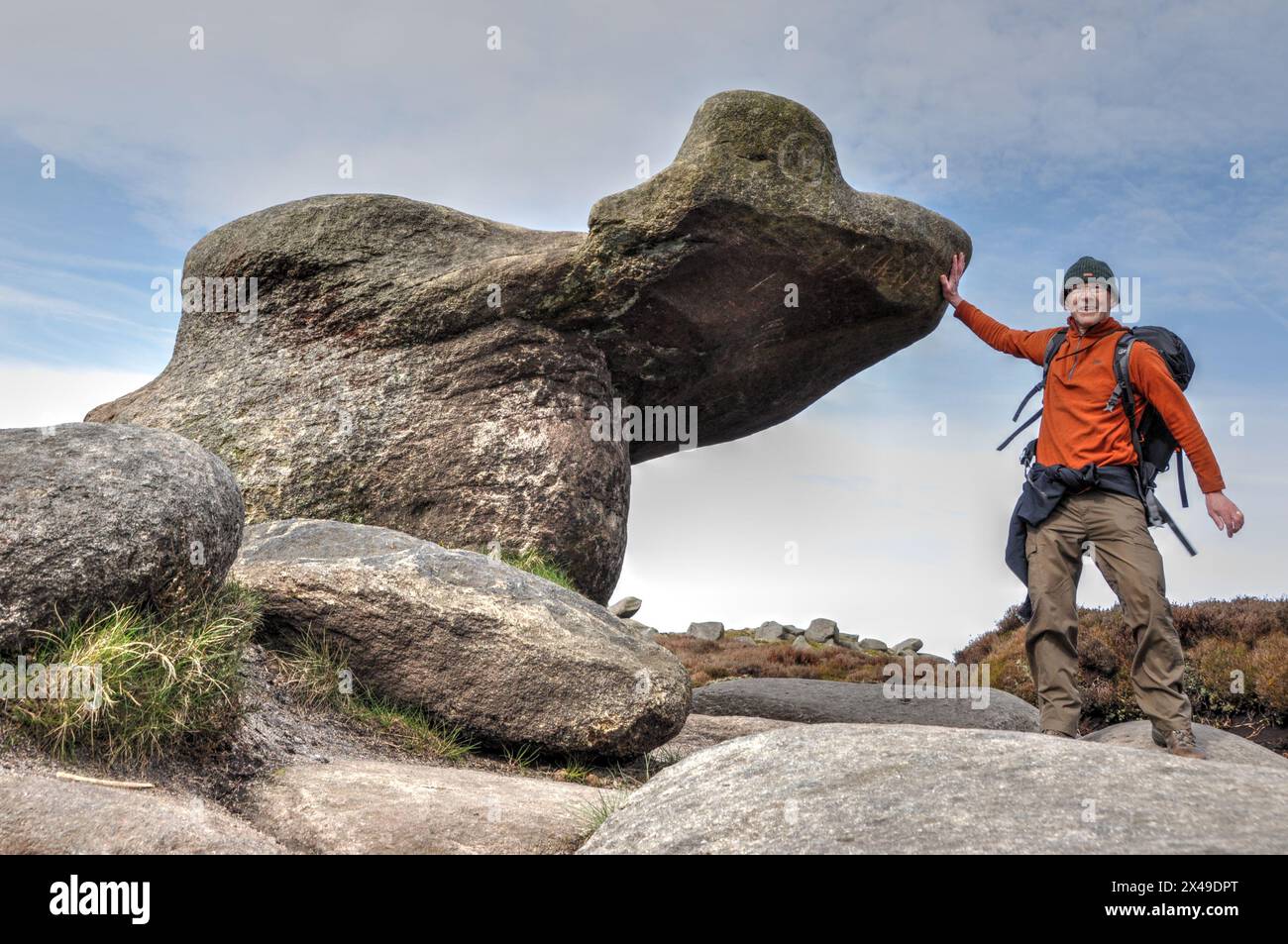 Massives, étranges, formations rocheuses érodées dans la zone connue sous le nom de Woolpacks sur Kinder Scout, Peak District. On dirait un chien ou un os. Banque D'Images