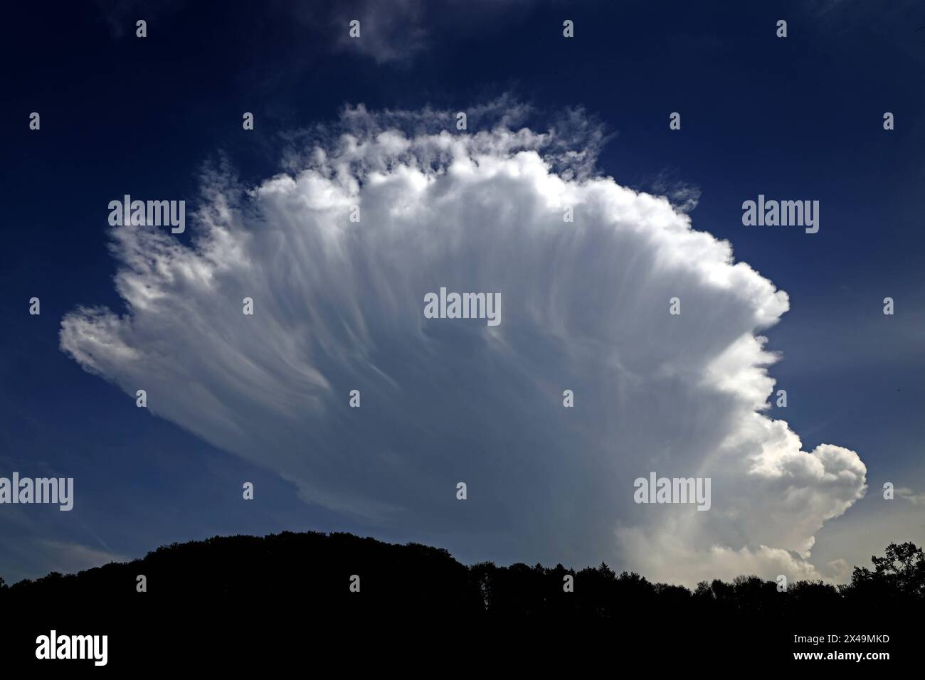 Gewitterwolken am Himmel Eine Cumulonimbuswolke mit typischen Amboss räumlich gesehen als pilzhutförmiger Schirm. Velbert-Langenberg Nordrhein-Westfalen Deutschland Bleiberg *** nuages d'orage dans le ciel nuage cumulonimbus avec enclume typique vu spatialement comme un parapluie en forme de champignon Velbert Langenberg Rhénanie du Nord-Westphalie Allemagne Bleiberg Banque D'Images