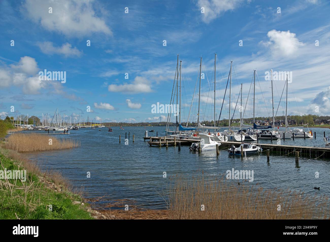 Marina, port, pêche au hareng, Kappeln, Schlei, Schleswig-Holstein, Allemagne Banque D'Images