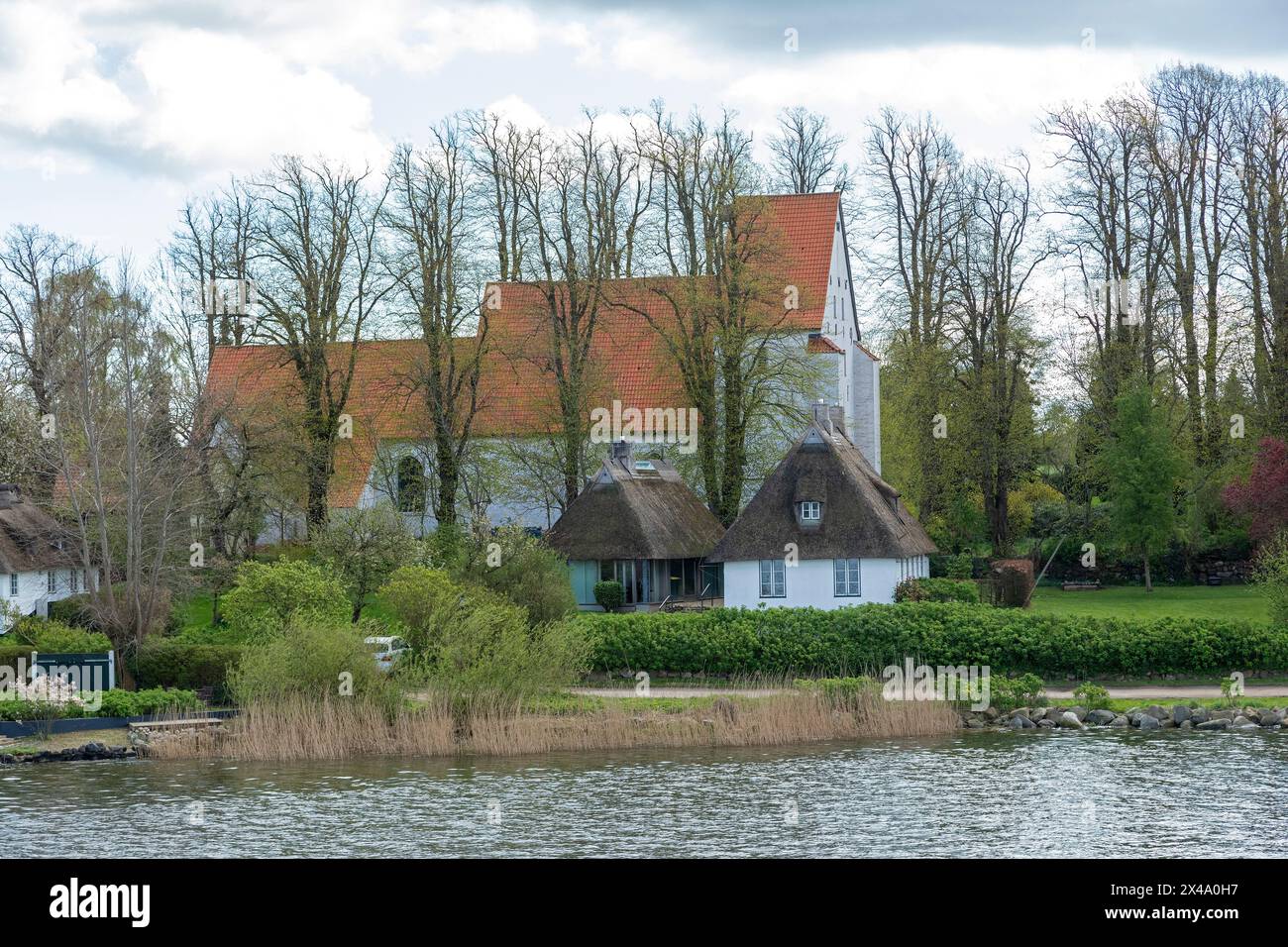 Église, maisons de chaume, arbres, Sieseby, Schlei, Schleswig-Holstein, Allemagne Banque D'Images