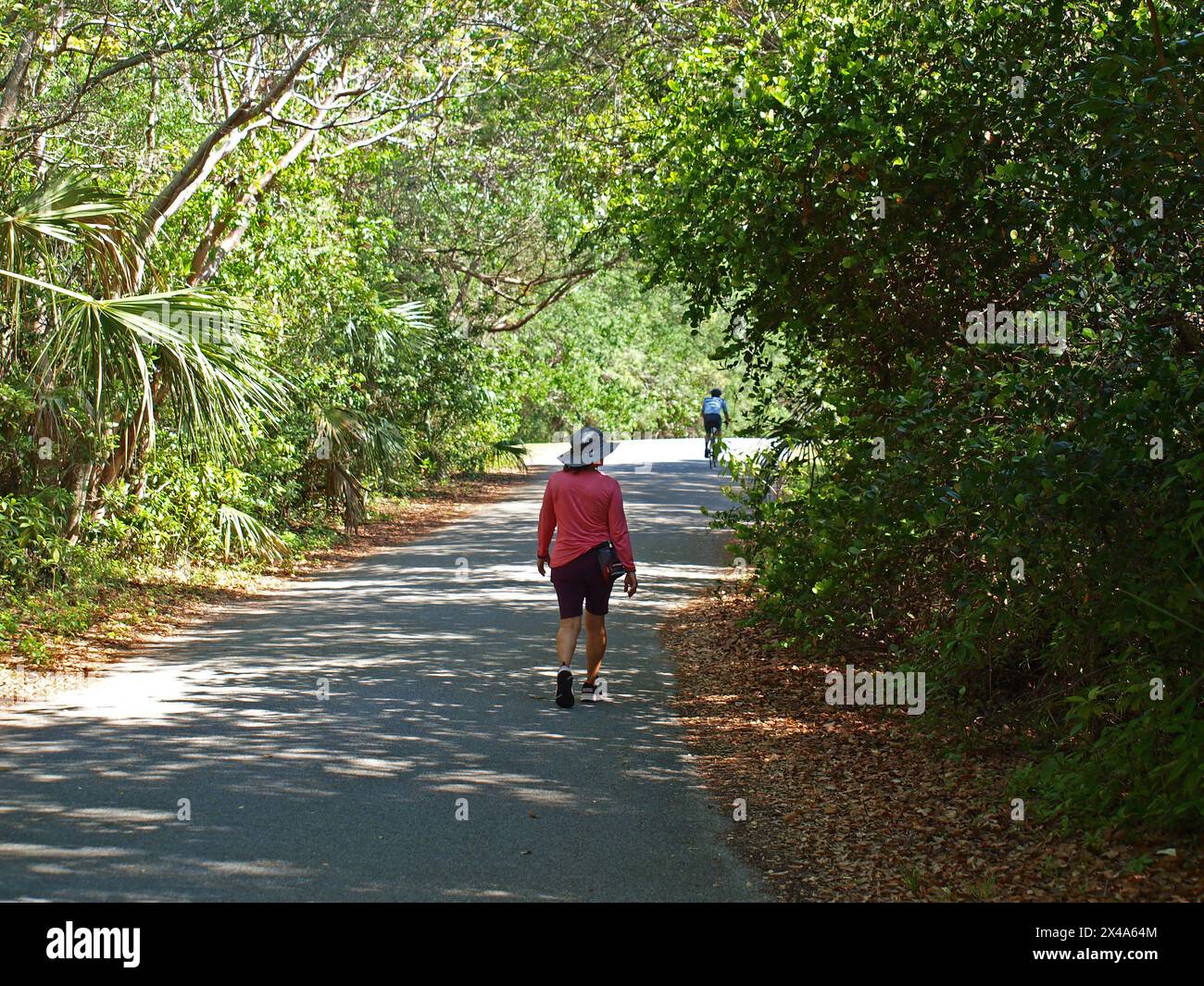 Miami, Floride, États-Unis - 20 avril 2024 : les personnes qui font de l'exercice sur le Chinese Bridge Trail le matin (vélo et randonnée). Utilisation éditoriale uniquement). Banque D'Images