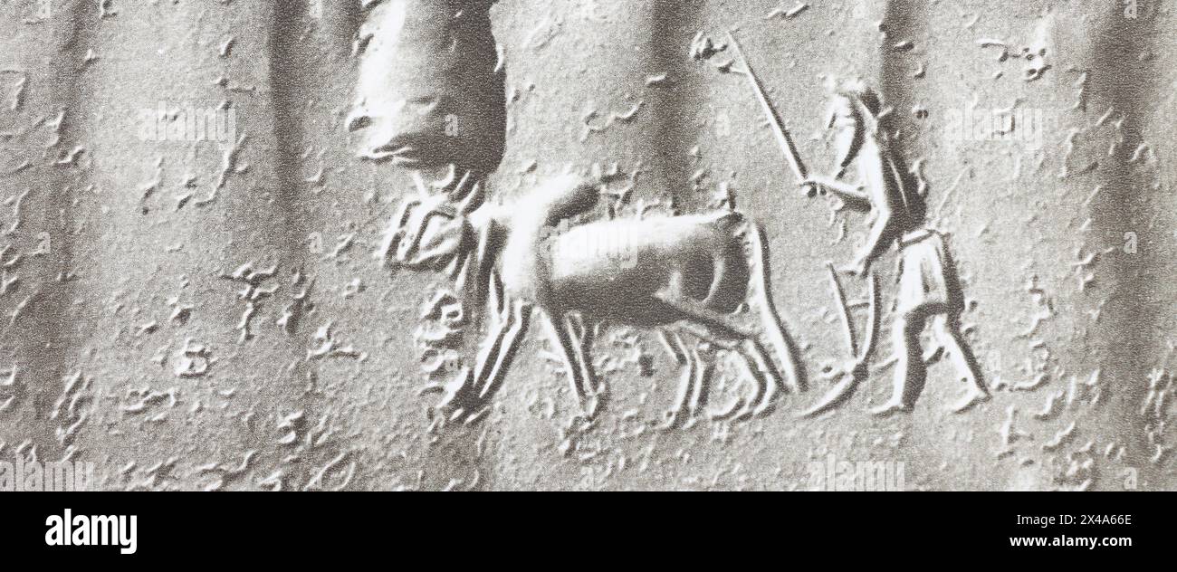 Image d'un charrue persan sur un phoque de l'époque achéménide. Photos de la première moitié du XXe siècle. Banque D'Images