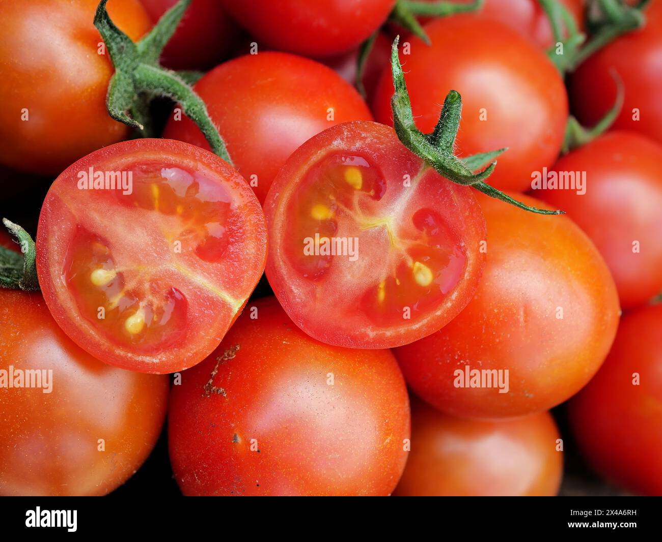 Tomates : riches en nutriments. Polyvalent pour salades, sauces, grillades. Stimule la santé du cœur et de la peau. Un choix durable pour un di vibrant Banque D'Images