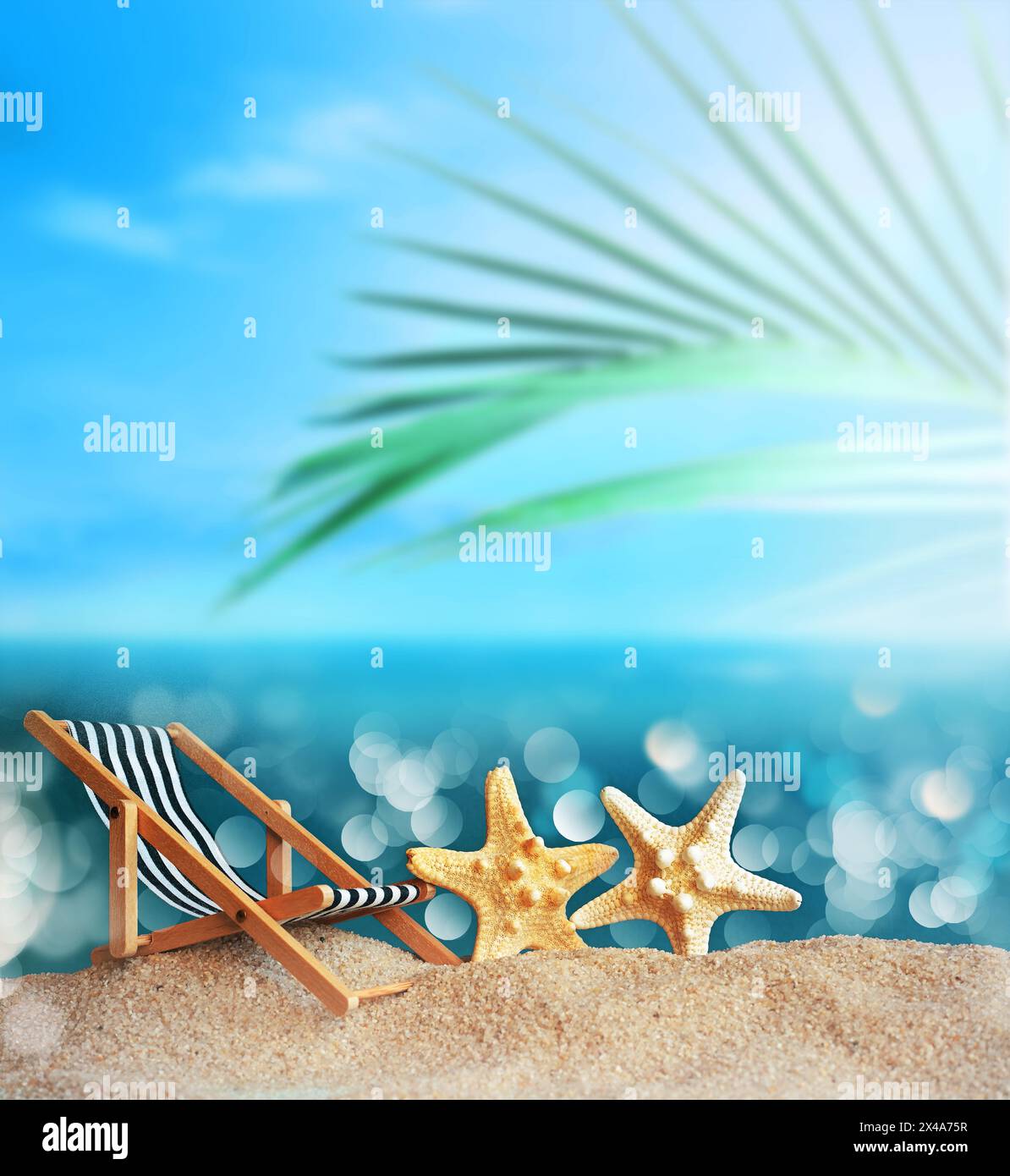Transat, étoiles de mer et palmiers sur la plage de sable. Heure d'été. Concept d'été. Banque D'Images