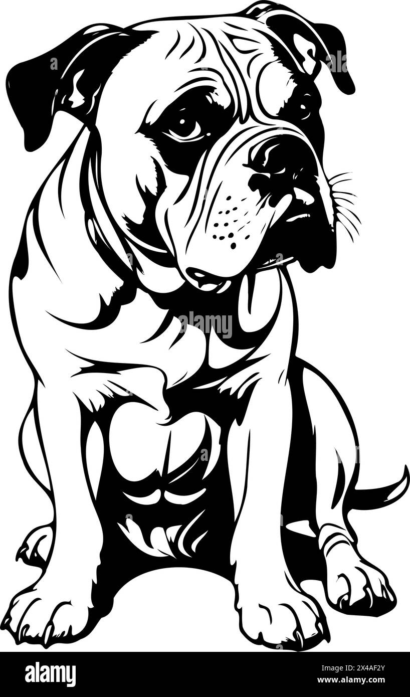 Dessin assis Bulldog noir américain, illustration d'animaux vintage, image vectorielle Illustration de Vecteur