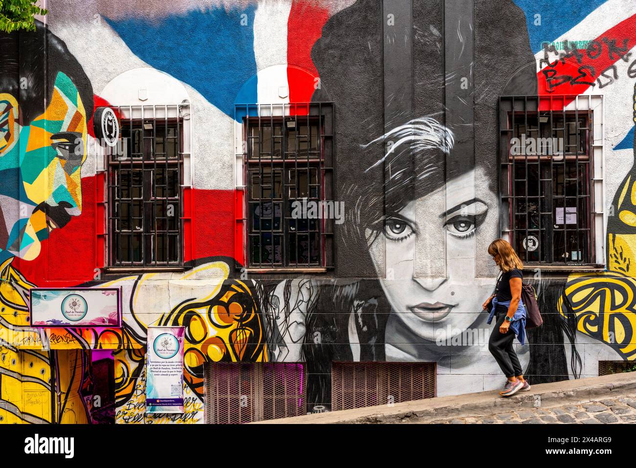 Portrait de la chanteuse britannique Amy Winehouse sur Un bâtiment à Valparaiso, région de Valparaiso, Chili. Banque D'Images