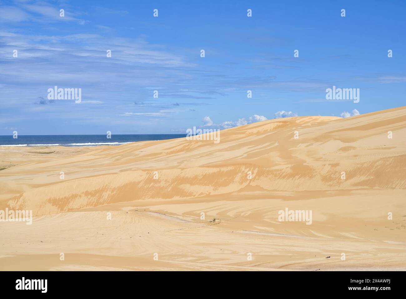 Grandes dunes de sable à Stockton Beach Banque D'Images