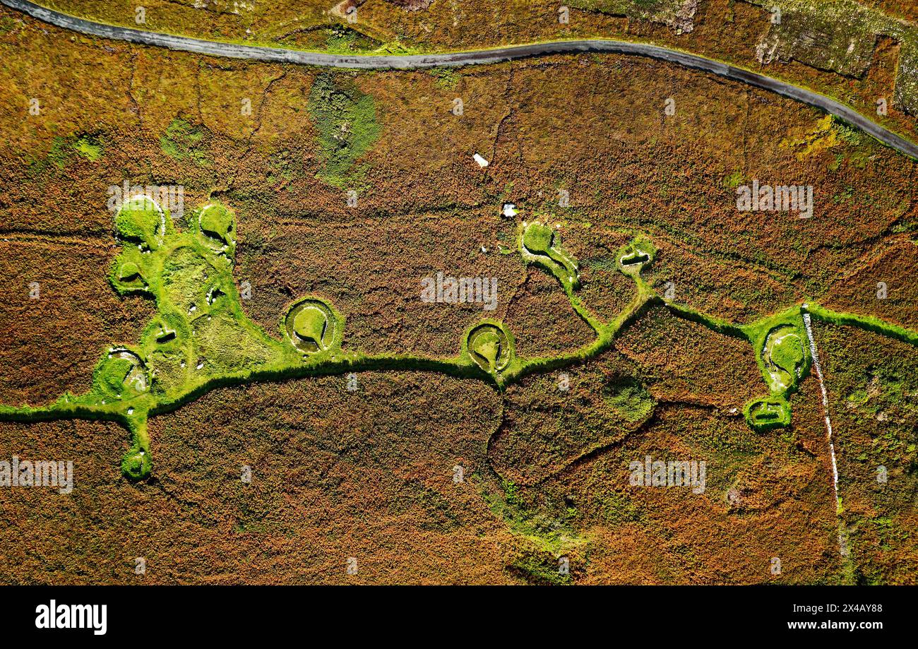 Holyhead Mountain Hut Circles. Le néolithique préhistorique à travers l'âge du fer celtique maisons fondations en pierre de peuplement. Anglesey, pays de Galles. Rouge automne bracken Banque D'Images