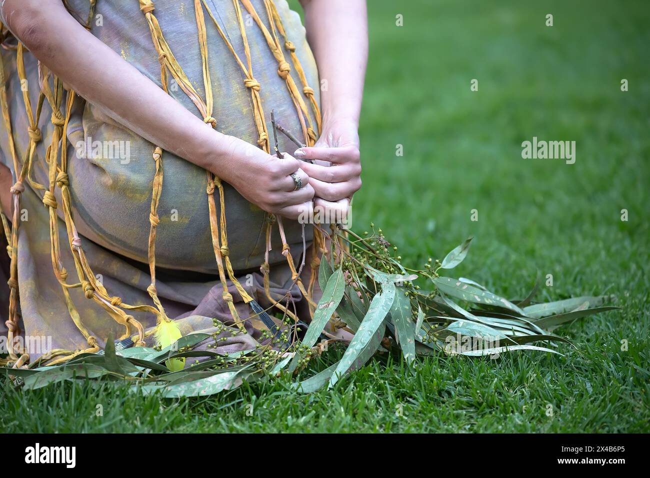 Cérémonie indigène australienne, main de femme avec branches vertes, commencez une danse pour un rite rituel lors d'un événement communautaire à Adélaïde, Australie méridionale Banque D'Images