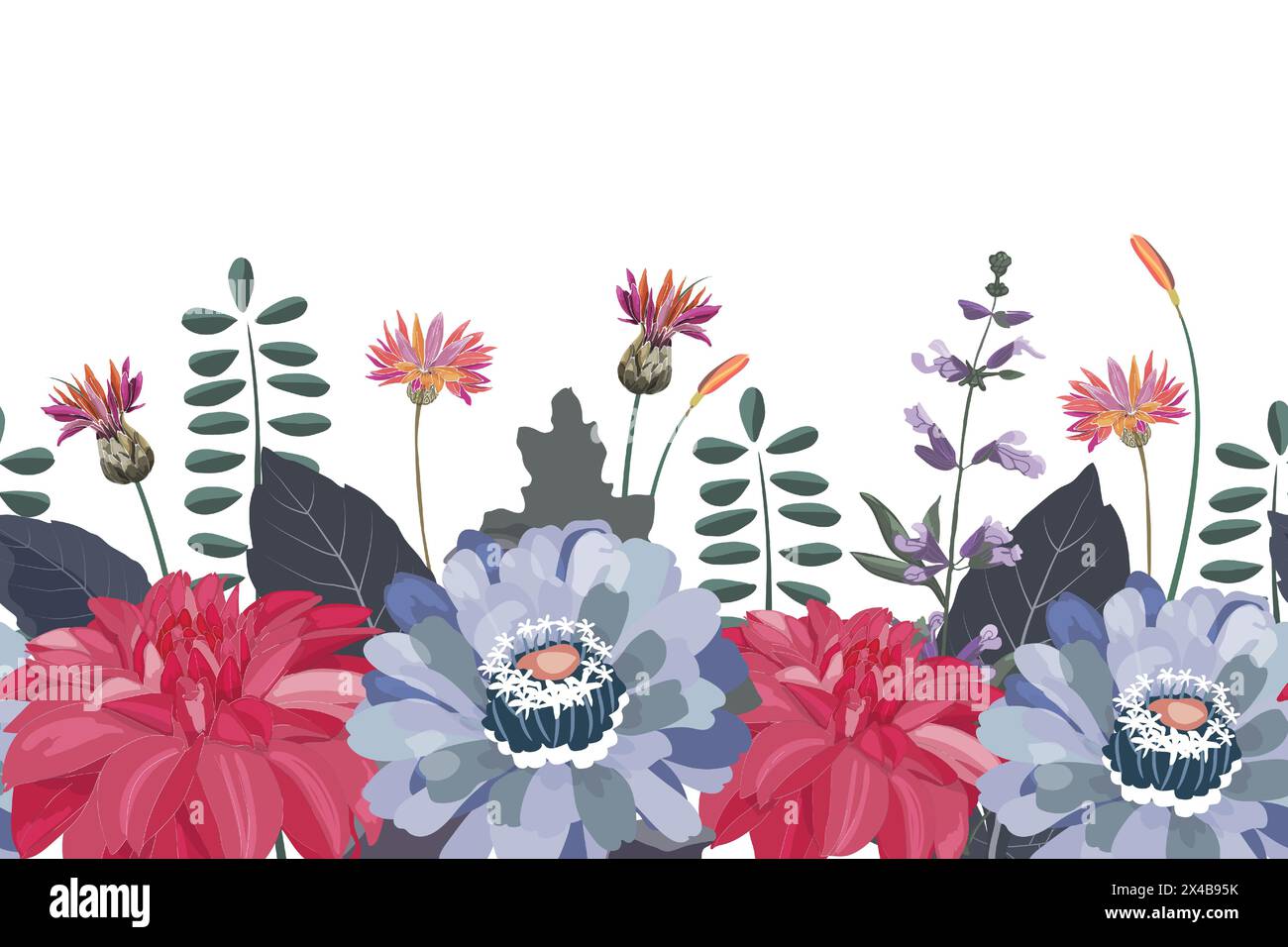 Vecteur floral modèle sans couture, frontière. Zinnias, dahlias et bleuets Illustration de Vecteur