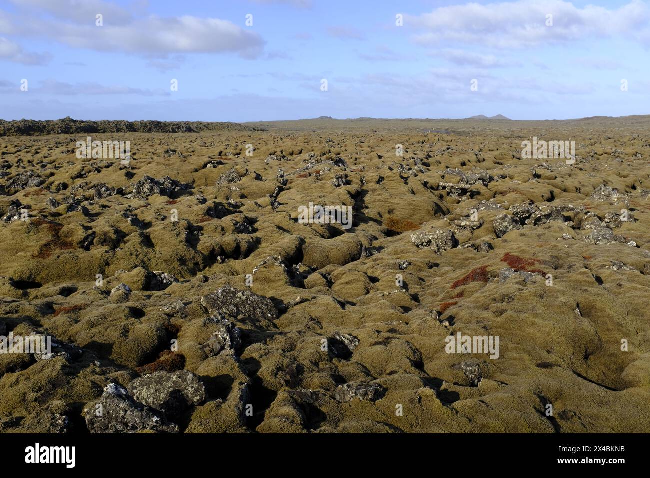 Paysage dans la péninsule de Reykjanes, au sud de l'Islande Banque D'Images