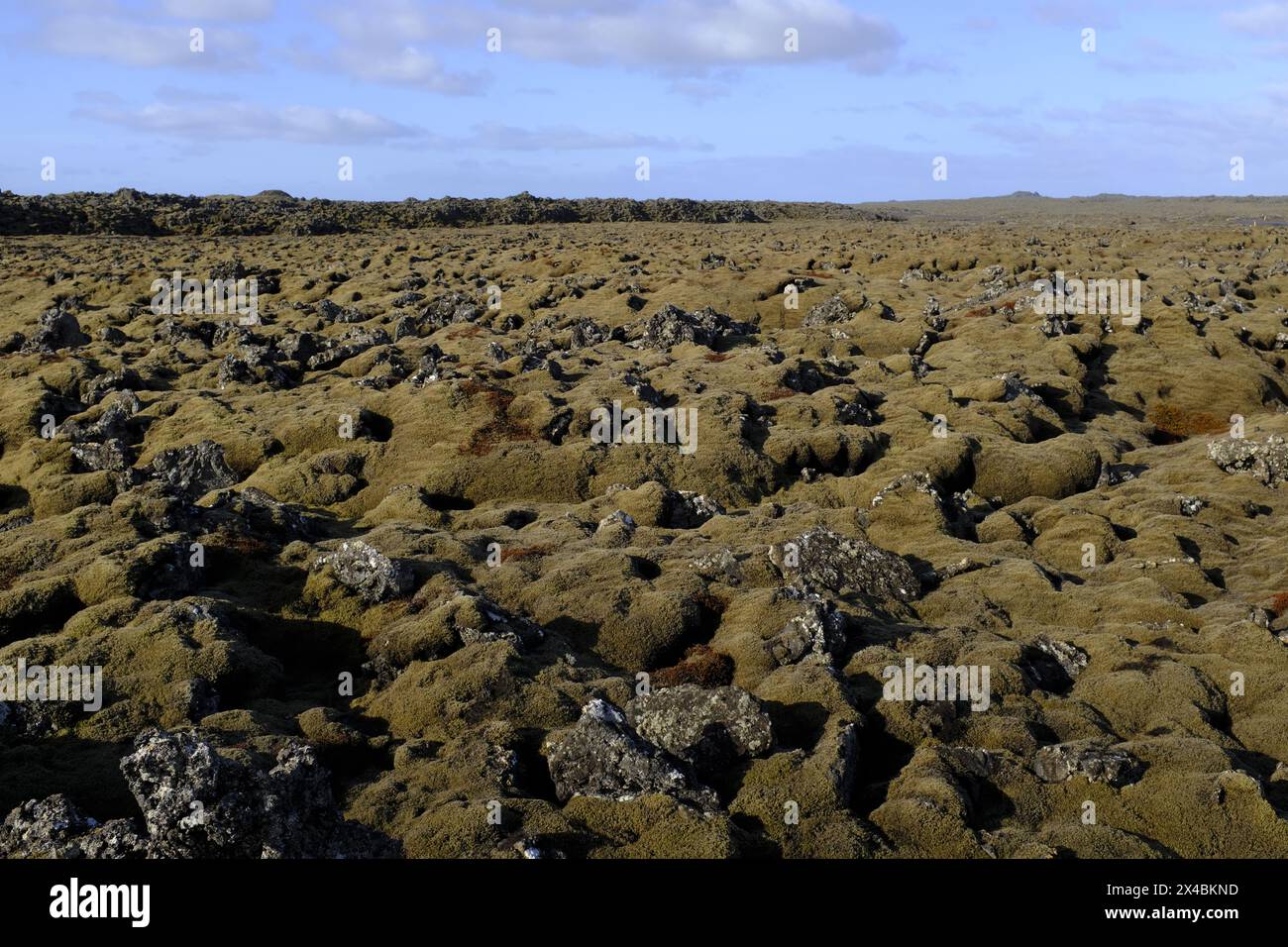 Paysage dans la péninsule de Reykjanes, au sud de l'Islande Banque D'Images