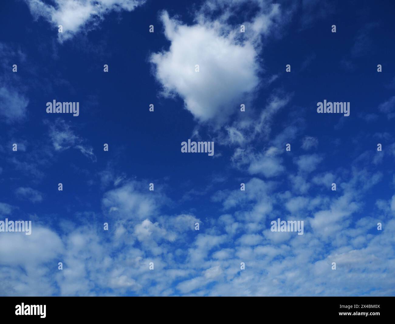 Belles formes de nuages sur un ciel bleu d'été en utilisant comme fond naturel LA DATE D'ENREGISTREMENT NON INDIQUÉE Banque D'Images