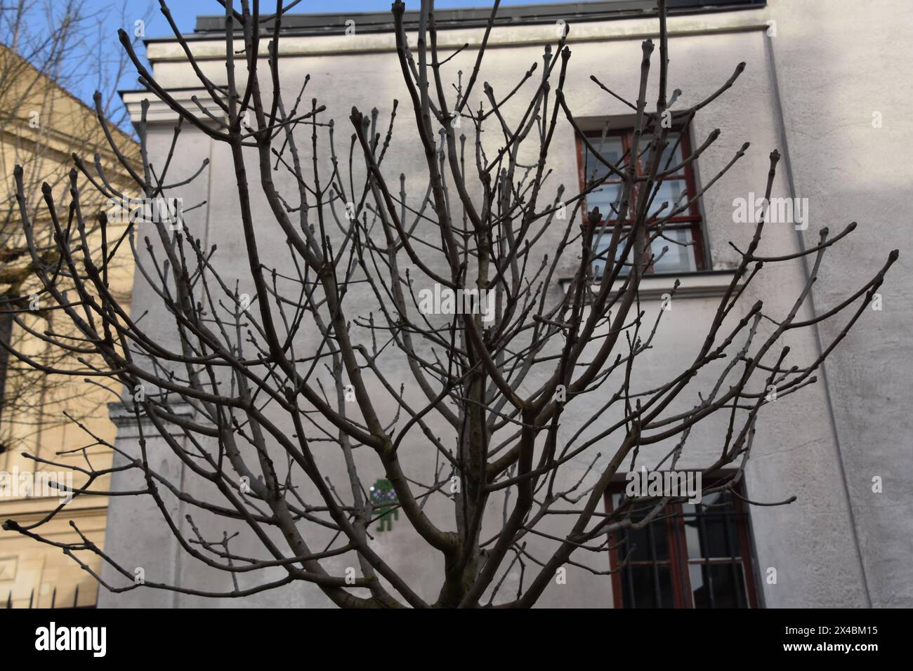 Colline de la Butte Montmartre Banque D'Images