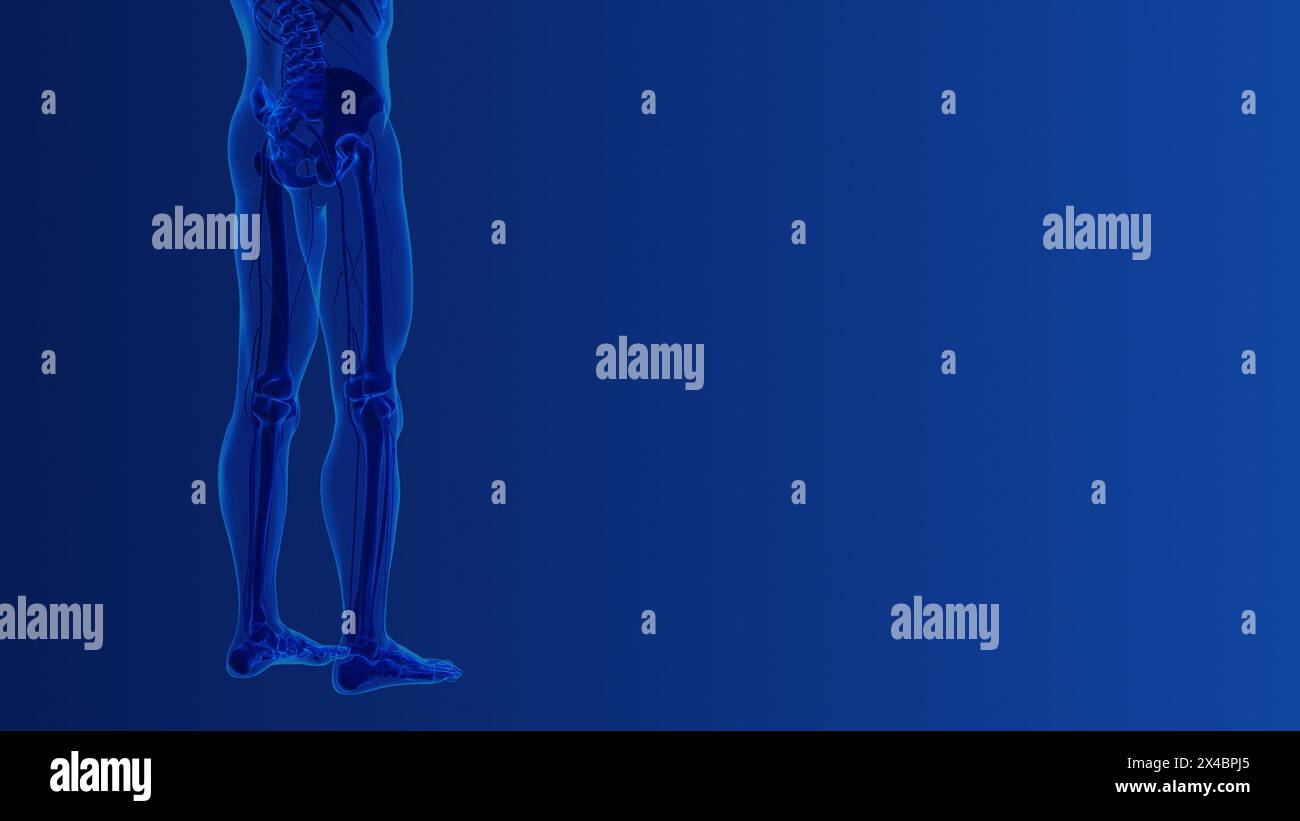 Sciatique rachis et douleur nerveuse concept médical Banque D'Images