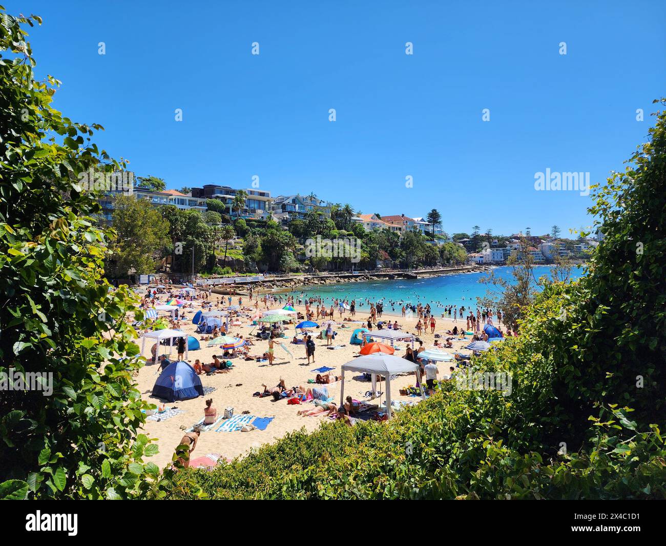 Shelly Beach, à Sydney, Australie, avec des gens sur le sable bronzant au soleil, plongeant dans la mer, dans une ambiance chaleureuse et animée. Banque D'Images