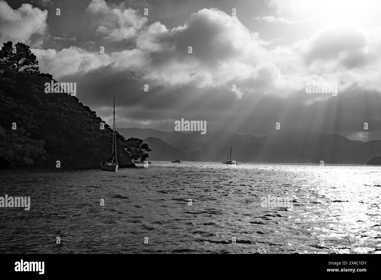 Les bateaux s'abritent de la tempête à Port Fitzroy Harbour Great Barrier Island Banque D'Images