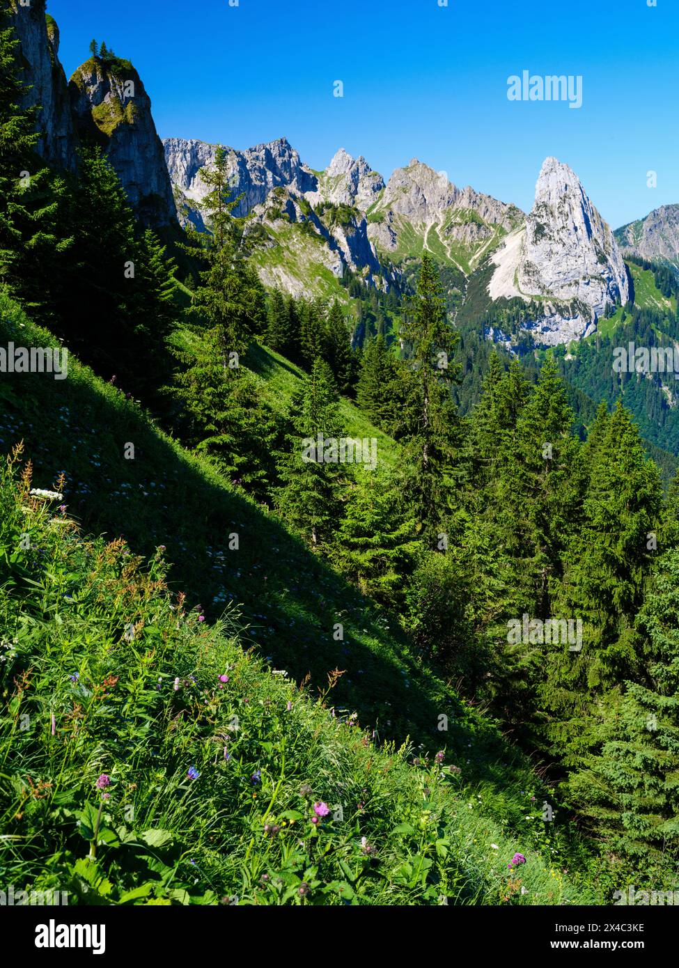 Vue vers Mt. Geiselstein. Parc naturel des Alpes d'Ammergau (Ammergau Alpen) dans les Alpes calcaires du Nord de la haute-Bavière, Allemagne. Banque D'Images