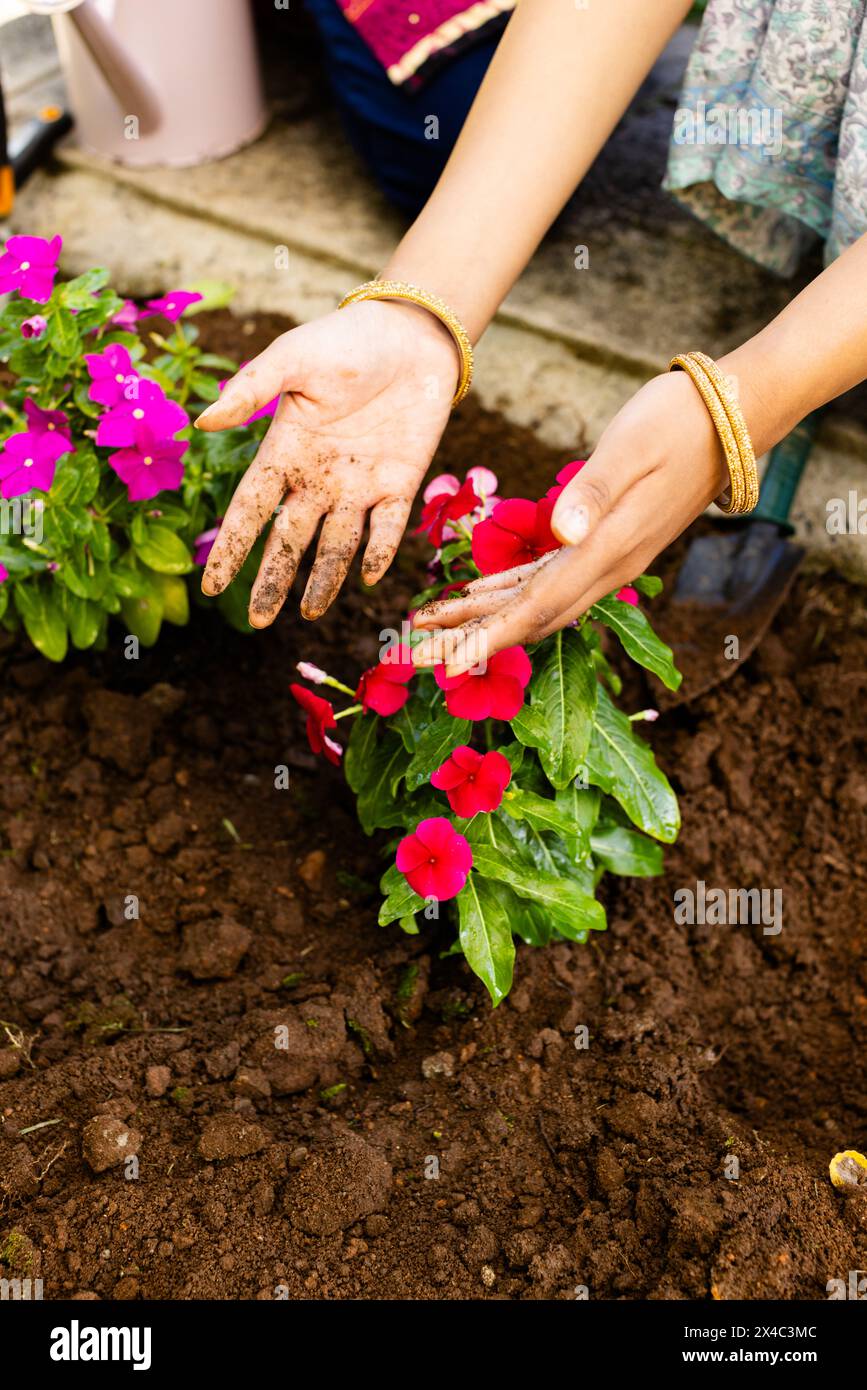 Une femme indienne portant un bracelet, plantant des fleurs lumineuses. Les mains se salissent du jardinage, sa fille adolescente présentant à nouveau un bracelet coloré Banque D'Images
