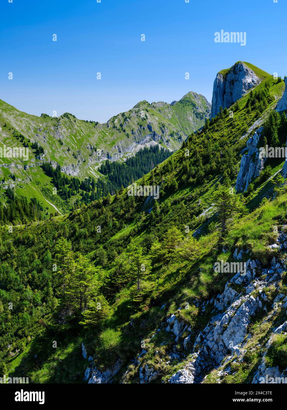 Vue vers grosse Klammspitze et Mt. Hasentalkopf. Parc naturel des Alpes d'Ammergau (Ammergau Alpen) dans les Alpes calcaires du Nord de la haute-Bavière, Allemagne. Banque D'Images