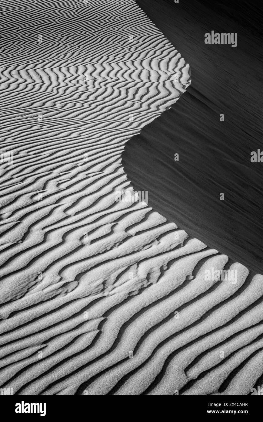 États-Unis, Californie, Côte centrale, Oceano. Courbes de sable à Pismo State Beach Dune Preserve Banque D'Images
