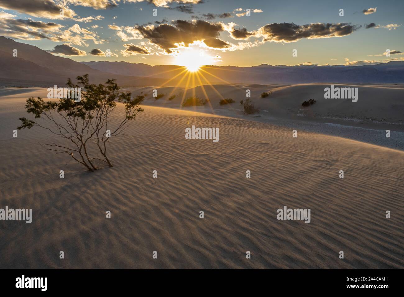 États-Unis, Californie, parc national de la Vallée de la mort. Montagnes et sable soufflé dans Mesquite Dunes au coucher du soleil. Banque D'Images