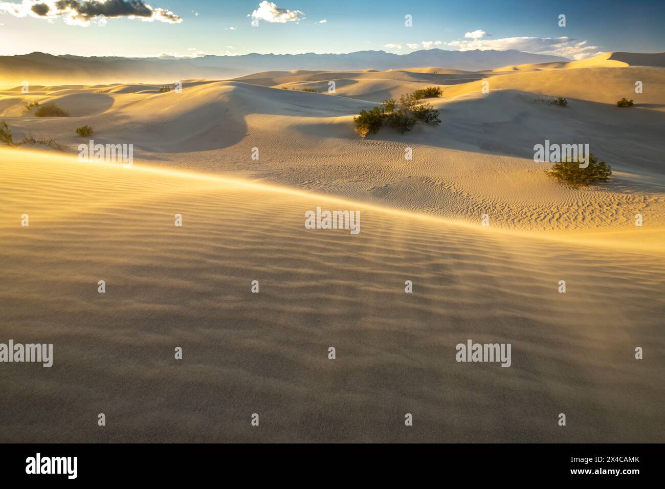 États-Unis, Californie, parc national de la Vallée de la mort. Montagnes et sable soufflé dans Mesquite Dunes. Banque D'Images