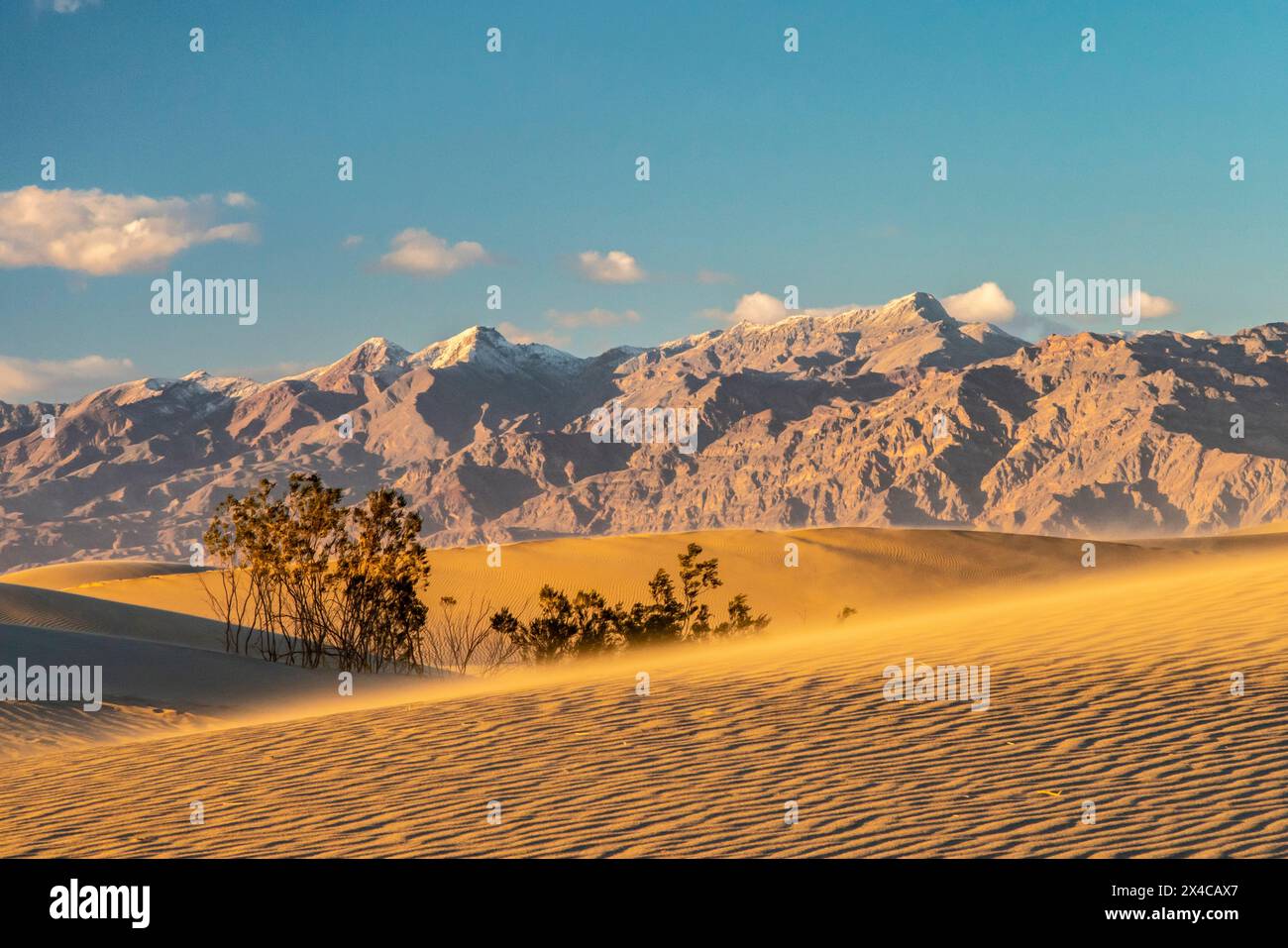 États-Unis, Californie, parc national de la Vallée de la mort. Montagnes et sable soufflé dans Mesquite Dunes. Banque D'Images