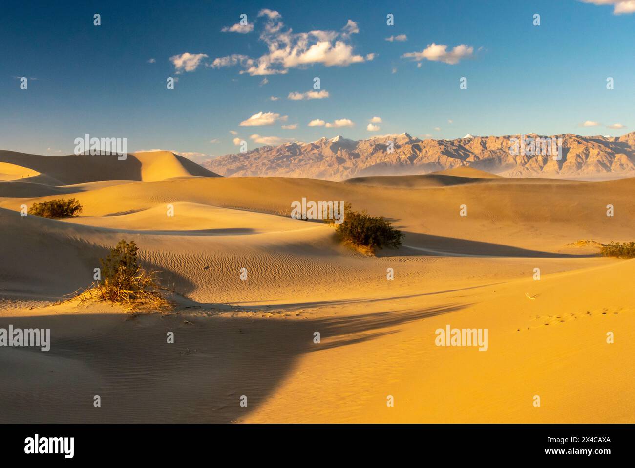 États-Unis, Californie, parc national de la Vallée de la mort. Mesquite Dunes et paysage de montagne. Banque D'Images