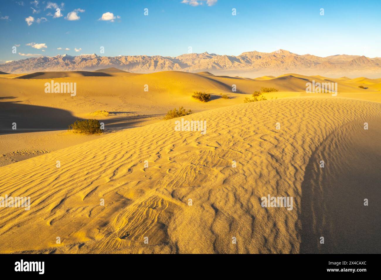 États-Unis, Californie, parc national de la Vallée de la mort. Montagnes et sable soufflé dans Mesquite Dunes. Banque D'Images