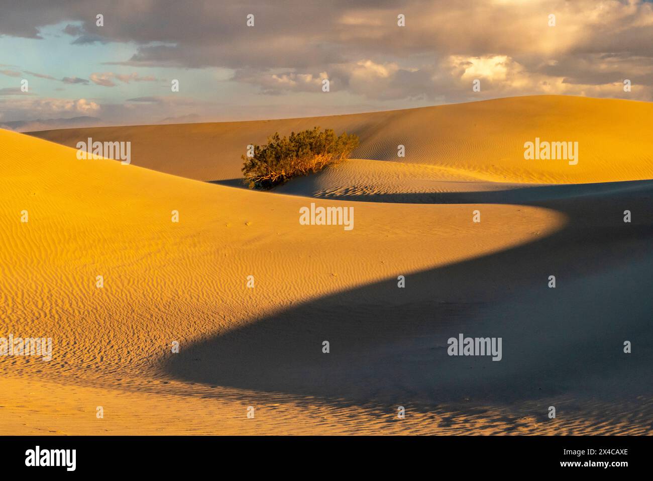 États-Unis, Californie, parc national de la Vallée de la mort. Ombres sur le sable dans Mesquite Dunes. Banque D'Images