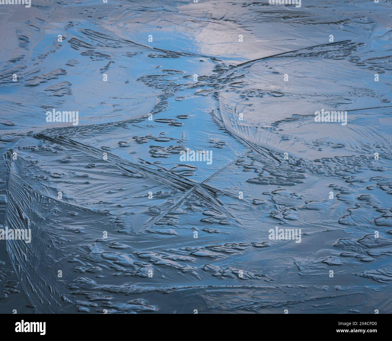 États-Unis, New Jersey, Cape May nature Center. Reflets du ciel sur la glace de lac d'hiver. Banque D'Images