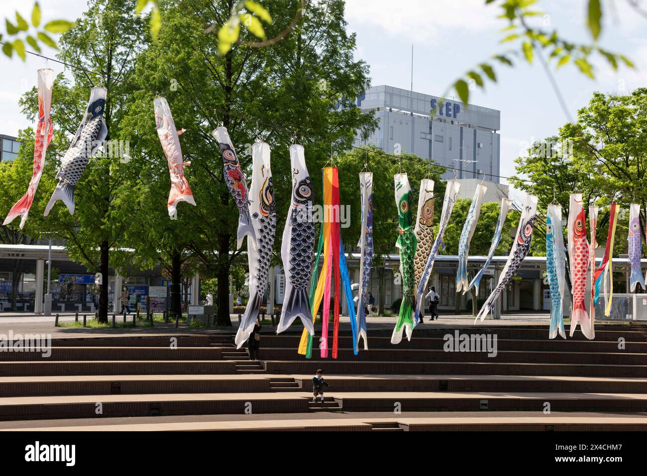 Décoration Koinobori volent dans le vent pour célébrer la Journée des enfants au Japon. La Journée des enfants, une fête japonaise qui honore la santé et le bonheur des enfants, est célébrée chaque année le 5 mai. En japonais, il est appelé : 'Kodomo no hi'. Les familles avec des garçons font voler d'énormes banderoles en forme de carpe (koinobori) à l'extérieur de leur maison et exposent des poupées de guerriers célèbres et d'autres héros à l'intérieur. La carpe symbolise la force et le succès ; selon une légende, une carpe a nagé en amont pour devenir un dragon. Les filles ont leur propre festival, appelé Hina Matsuri (Festival des poupées), qui a lieu le troisième jour du troisième mois. Banque D'Images