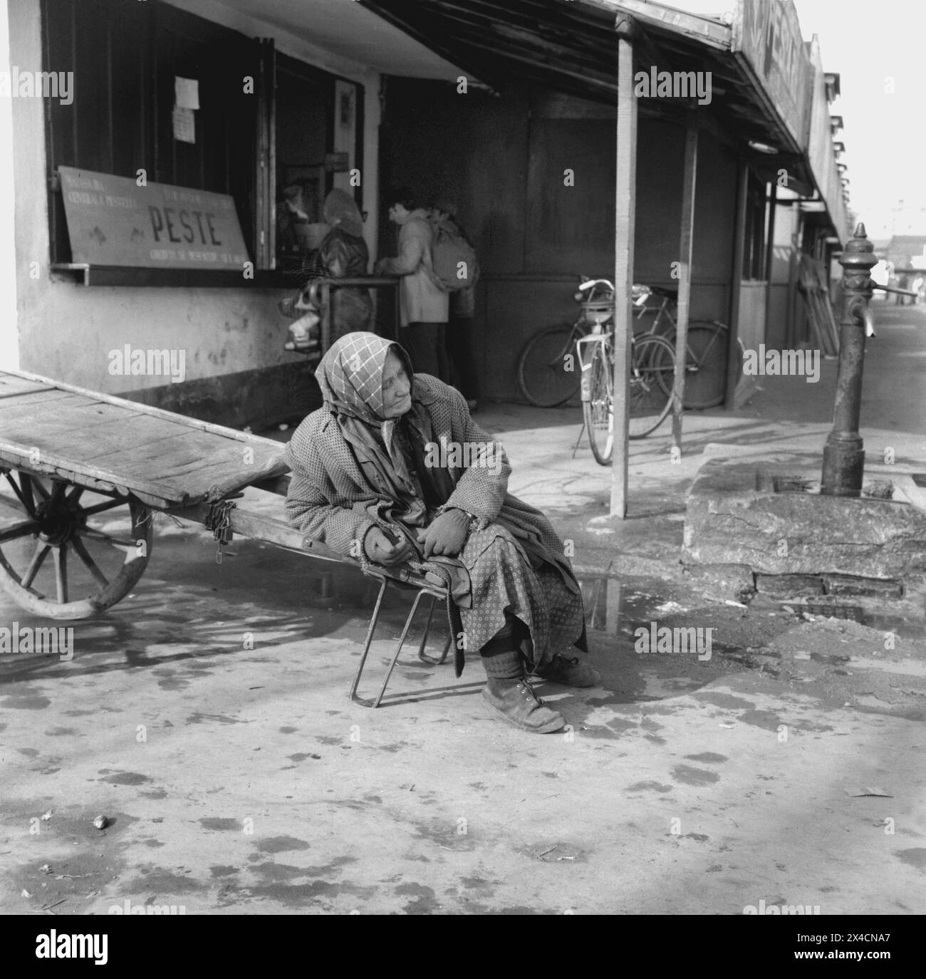 République socialiste de Roumanie dans les années 1970 Une femme âgée travaillant comme porteuse dans un stand de poissons. Banque D'Images