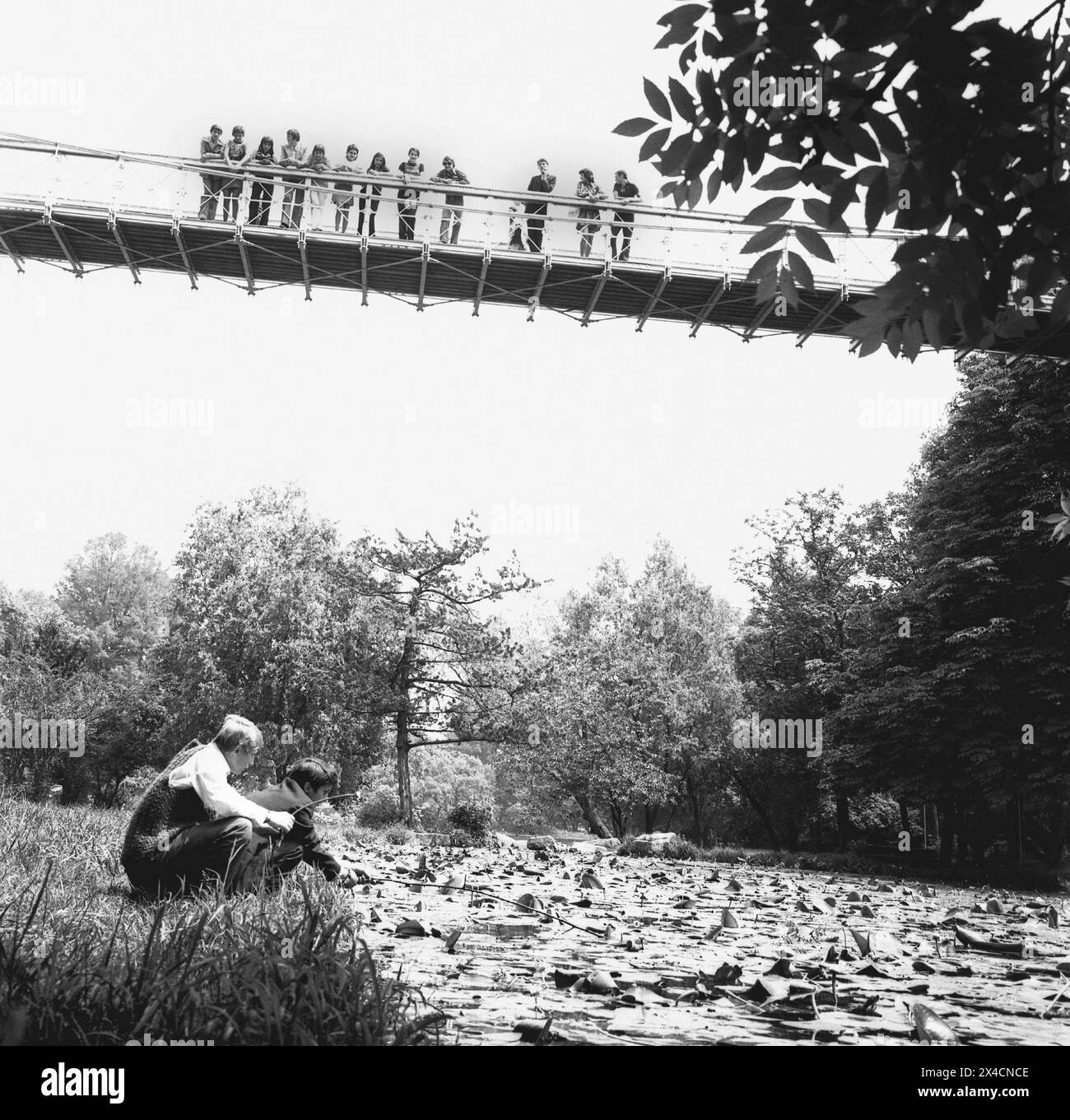 République socialiste de Roumanie dans les années 1970 Les jeunes à un lac dans le pays en été. Banque D'Images