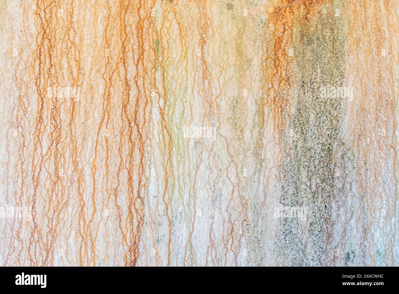 États-Unis, État de Washington, île de Whidbey. Parc national historique de Fort Casey Banque D'Images