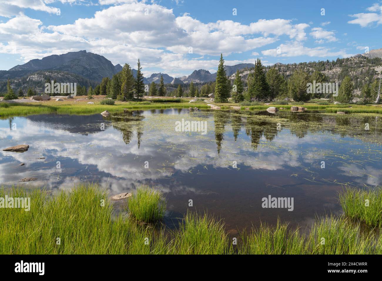 Étang subalpin Bridger Wilderness, Wind River Range, Wyoming. Banque D'Images