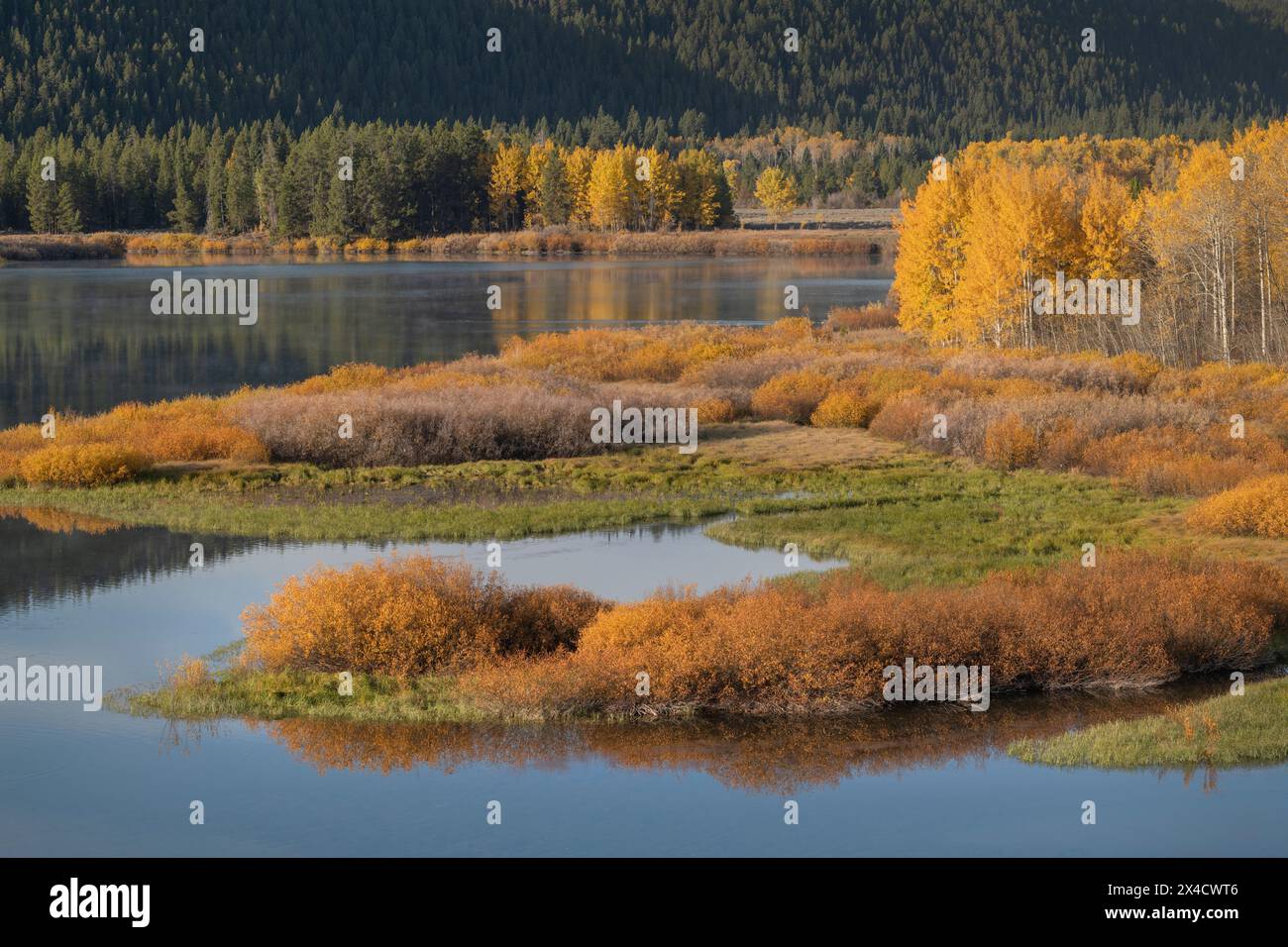 Couleur d'automne à Oxbow Bend de la rivière Snake, Grand Teton National Park, Wyoming. Banque D'Images