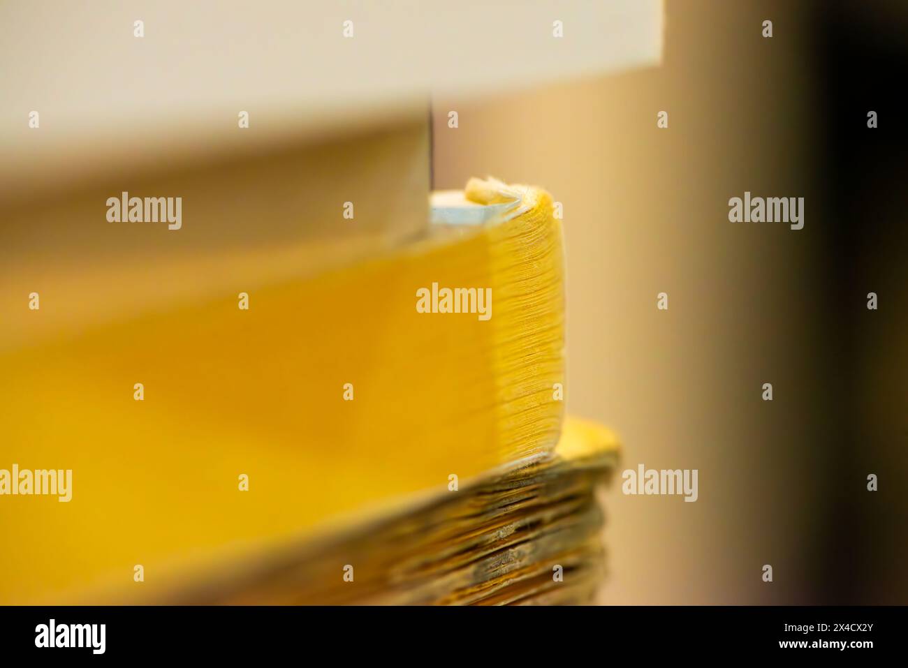 Une photo macro captivante révèle les détails complexes et les textures des bords des livres, mettant en valeur la beauté de la littérature Banque D'Images