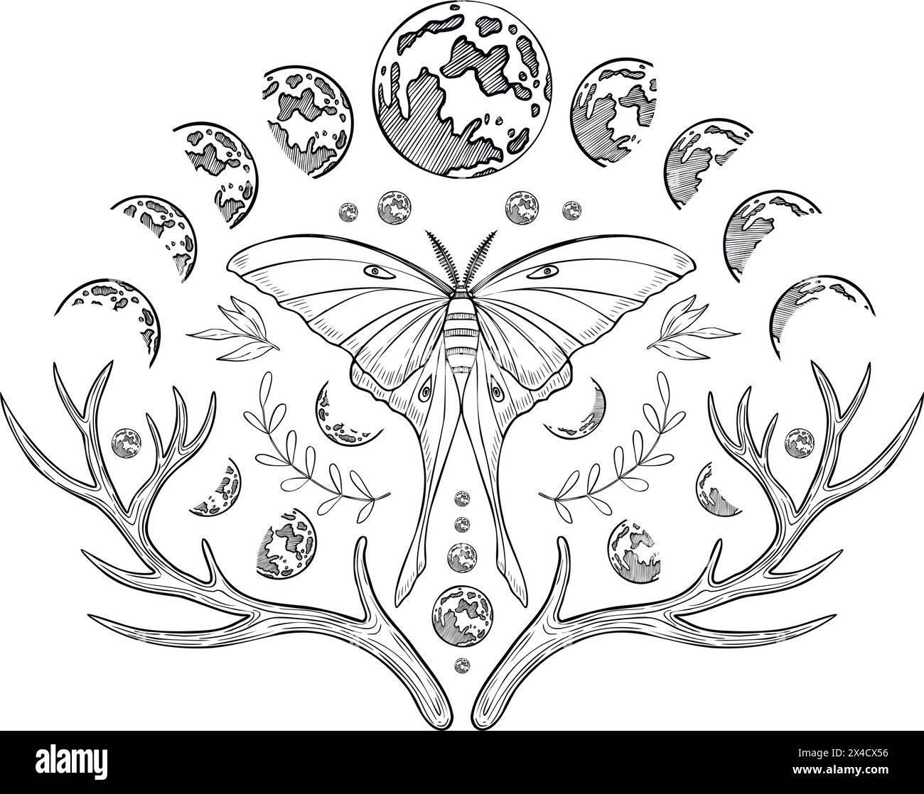 Mystique luna Moth avec phases de lune. Illustration vectorielle d'un papillon de nuit avec des ailes. Dessin de composition magique céleste pour estampes peintes Illustration de Vecteur