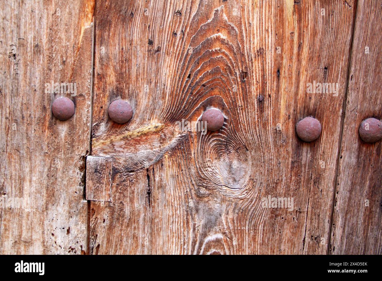 Vieux clous rouillés enfoncés dans une porte en bois vue de devant Banque D'Images