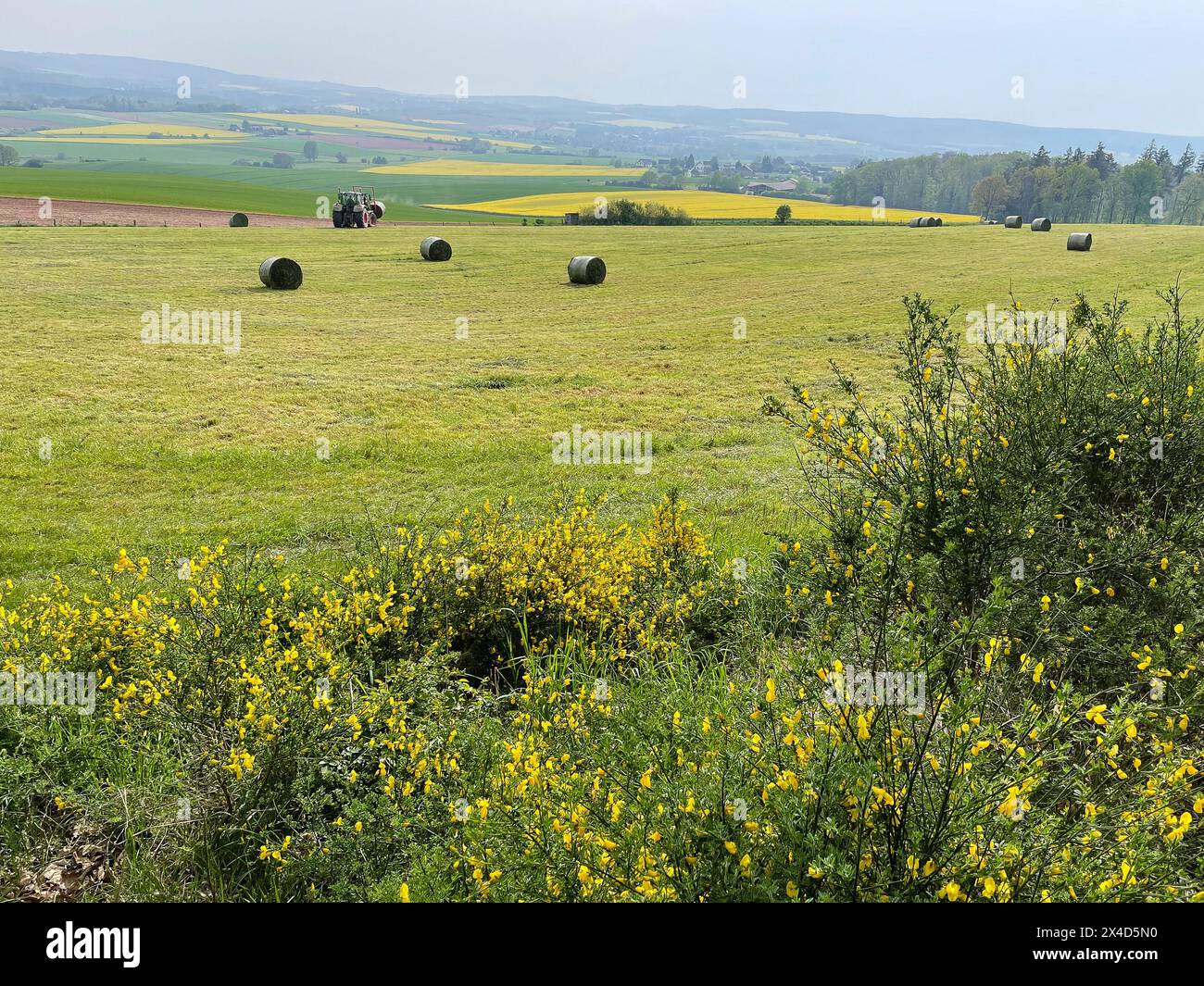 Paysage dans l'Eifel Banque D'Images
