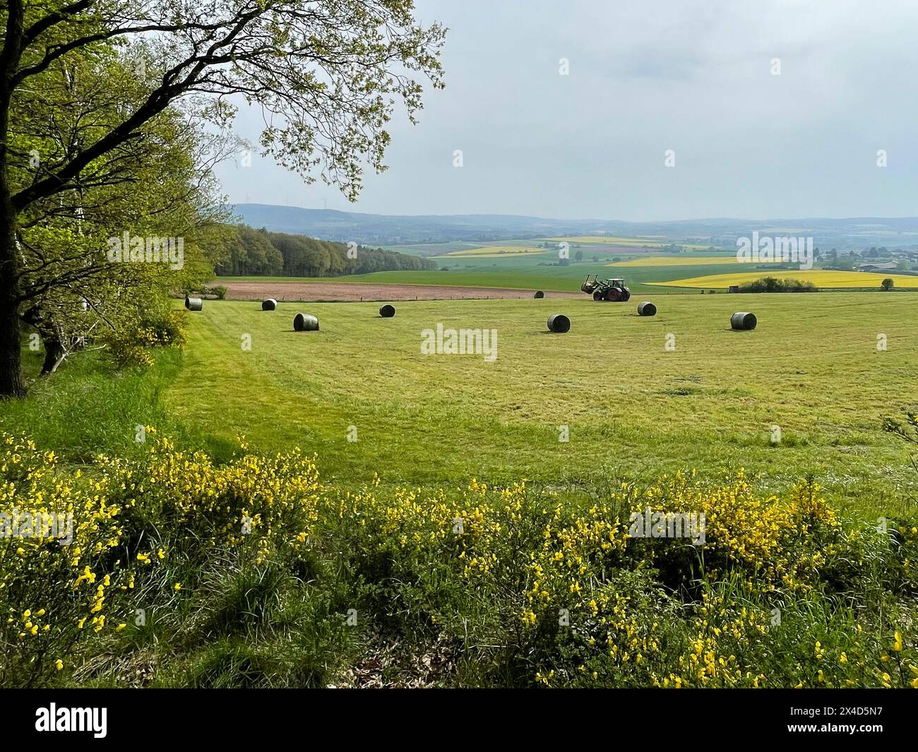 Paysage dans l'Eifel Banque D'Images