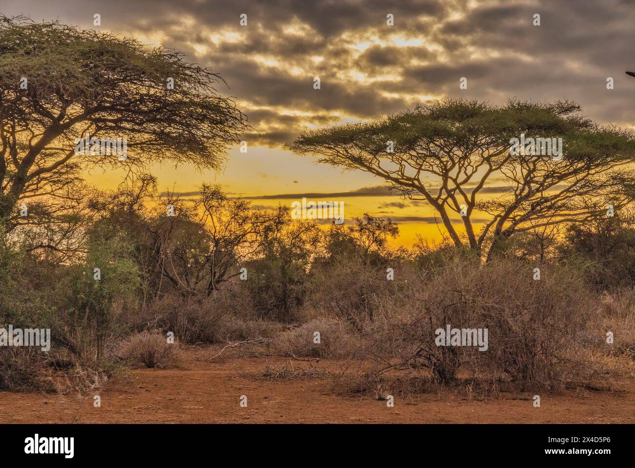 Sunrise Tawi Lodge, Amboseli Nation Park, Afrique Banque D'Images