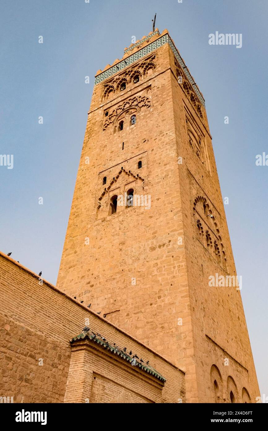 Marrakech, Maroc. Mosquée Koutoubia. La plus ancienne mosquée de Marrakech des années 1100 Banque D'Images