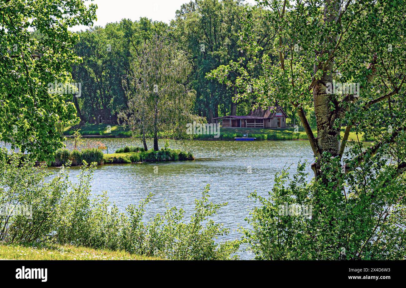 Paysage printanier à l'Aubad (bain riverain) de Tulln sur le Danube, Autriche Banque D'Images