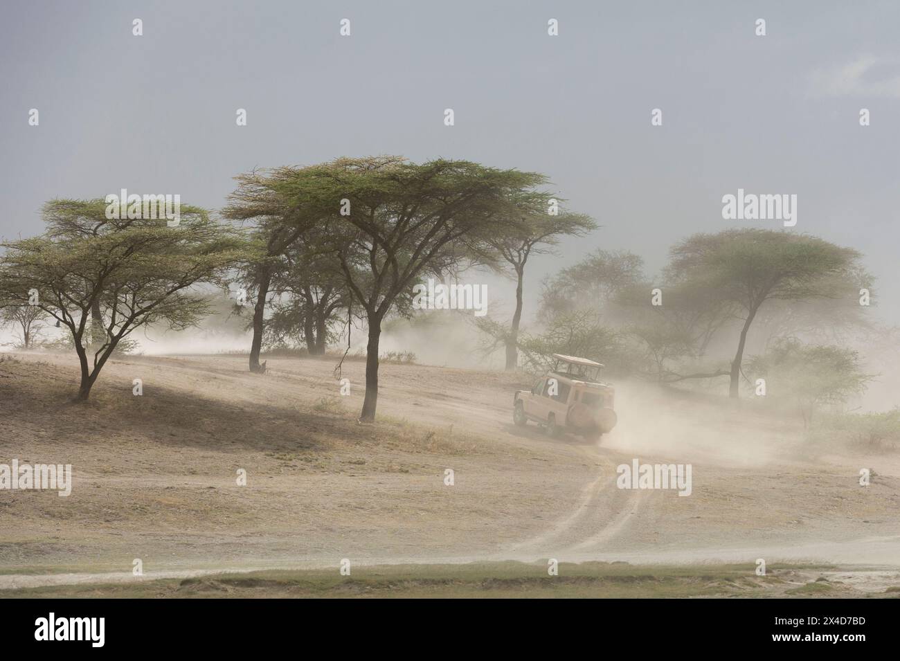 Un véhicule de safari roulant sur une route poussiéreuse.Ndutu, zone de conservation de Ngorongoro, Tanzanie Banque D'Images